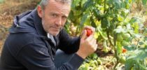 Alain-Passard-dans-son-potager_zoom