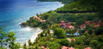 Carambola Overview