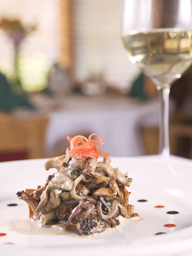Forest Mushrooms, Caramelized Onions, Madiera Crème, Montana Chevre