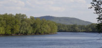 20130516_GoodStock_still_17_re