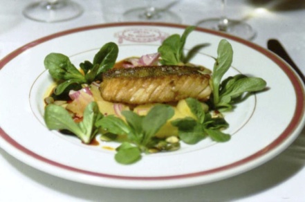 Pike Filet on a Bed of Potato Salad with Pumpkin Seeds  ▶