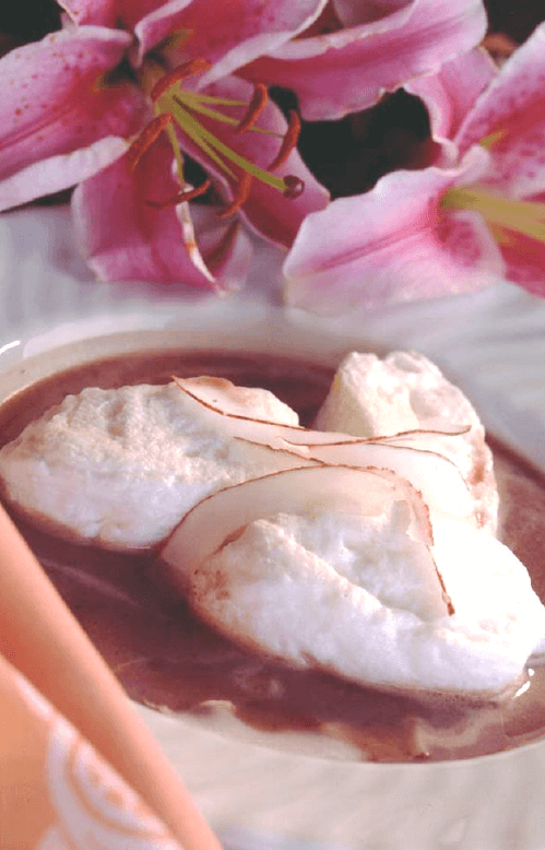 Floating Island Hispaniola