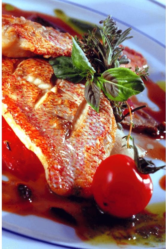Fillet of Vivaneau (Red Mullet) with Endive-tomato Confit and  Brown Gravy with Black Olives and Basil