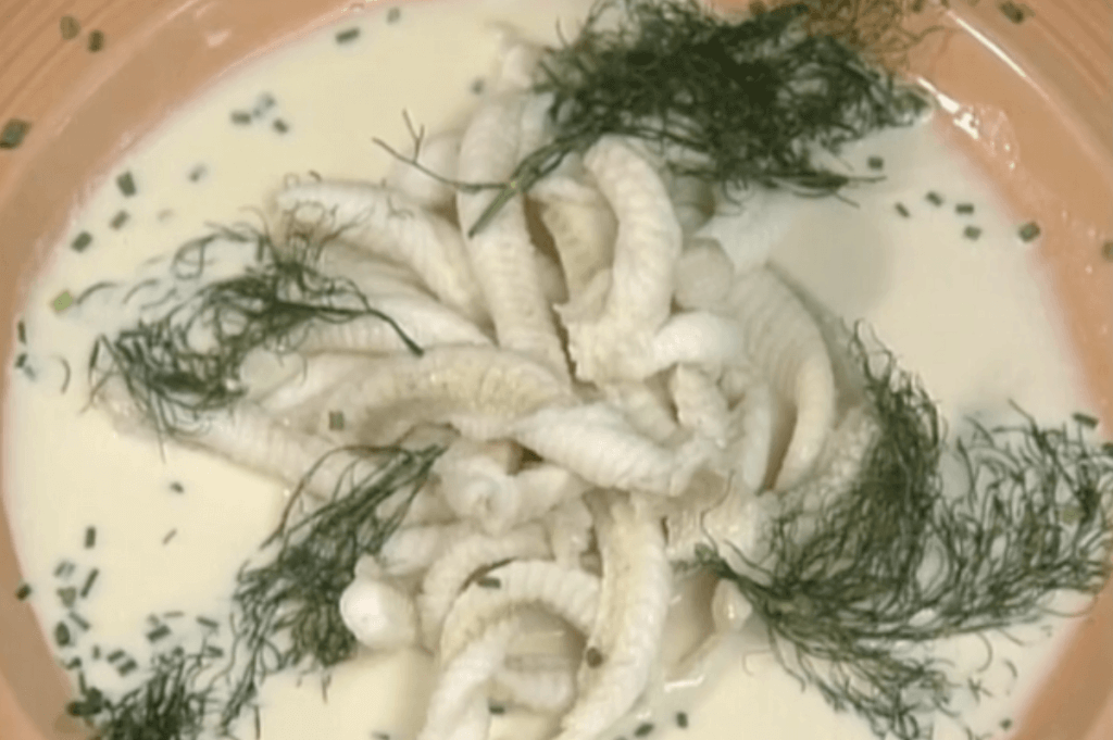Sole Medusa